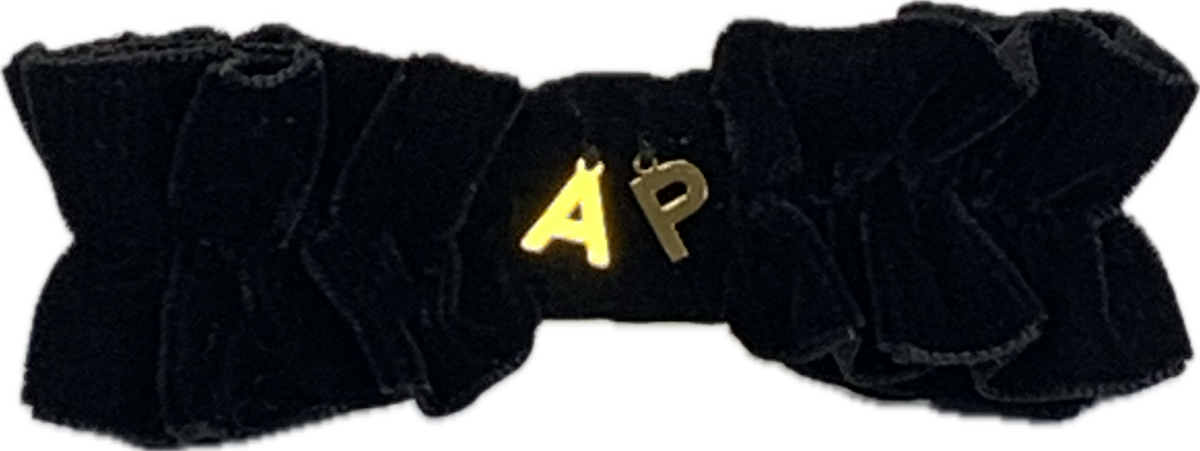 Barrette LUCIE